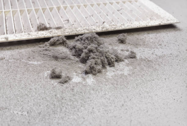 Best Ductwork Cleaning Services  in Eutaw, AL