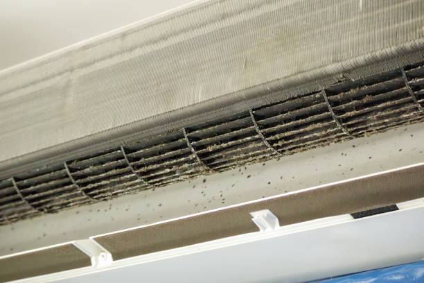 Best Air Duct Cleaning Near Me  in Eutaw, AL